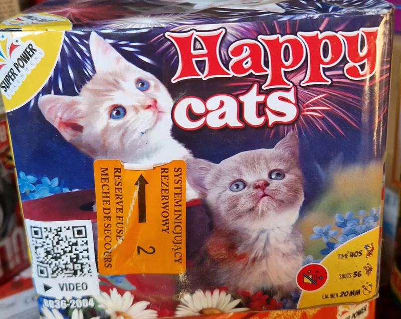 Happy cats super power – zdjęcie 1 z 2